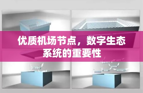 优质机场节点，数字生态系统的重要性