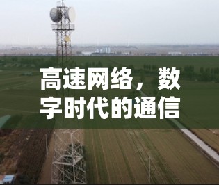 高速网络，数字时代的通信基石—VPN高速节点的未来