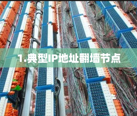 1.典型IP地址翻墙节点