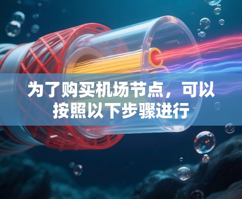 为了购买机场节点，可以按照以下步骤进行
