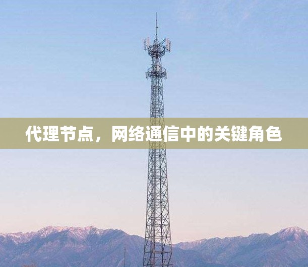 代理节点，网络通信中的关键角色