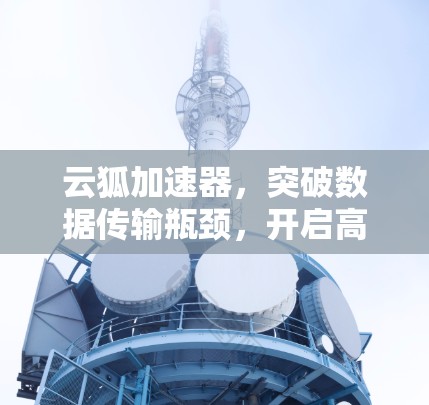 云狐加速器，突破数据传输瓶颈，开启高效通信新纪元