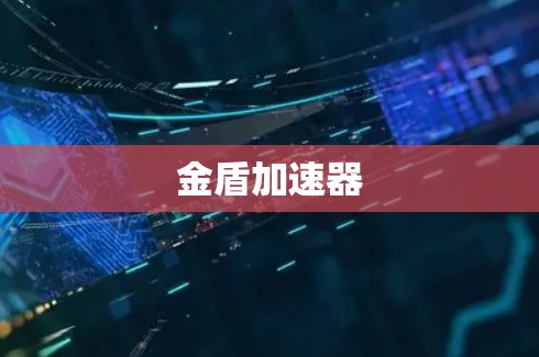 金盾加速器