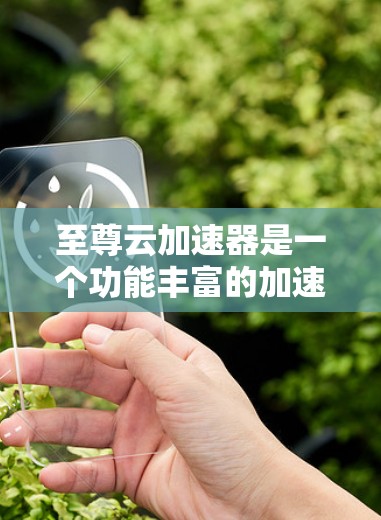 至尊云加速器是一个功能丰富的加速工具，结合了多种加速功能，旨在提升下载和文件上传速度。以下是关于至尊云加速器的详细信息