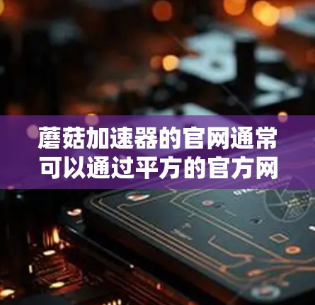 蘑菇加速器的官网通常可以通过平方的官方网站访问，平方是蘑菇加速器的提供者。以下是获取蘑菇加速器的步骤