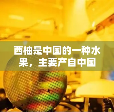西柚是中国的一种水果，主要产自中国东南沿海地区，包括广东、广西、福建等地。如果你正在寻找一种快速提高西柚产量的方法，可以考虑以下几种方式