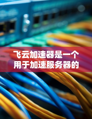 飞云加速器是一个用于加速服务器的工具，通过调整缓存和网速参数来提升服务器性能。以下是使用飞云加速器的步骤