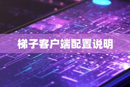 梯子客户端配置说明