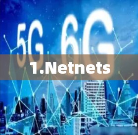 1.Netnets
