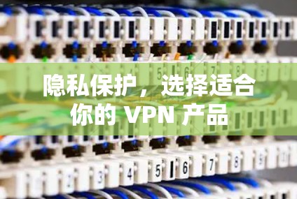 隐私保护，选择适合你的 VPN 产品