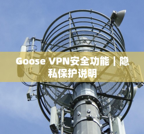 Goose VPN安全功能｜隐私保护说明
