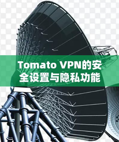 Tomato VPN的安全设置与隐私功能解析 Tomato VPN的安全设置与隐私功能解析