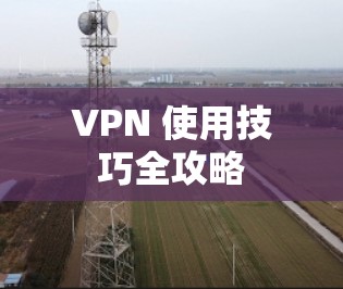 VPN 使用技巧全攻略