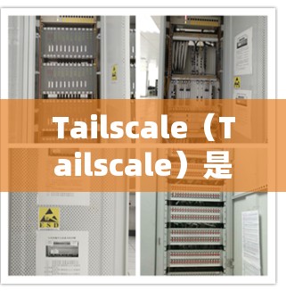 Tailscale(Tailscale)是基于容器的网络工具,适合分布式架构的设备管理。以下是一些关于 Tailscale Windows 版本的设备组网配置方法,帮助您轻松配置设备间的网络连接 Tailscale(Tailscale)是基于容器的网络工具,适合分布式架构的设备管理。以下是一些关于 Tailscale Windows 版本的设备组网配置方法,帮助您轻松配置设备间的网络连接