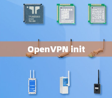 OpenVPN init