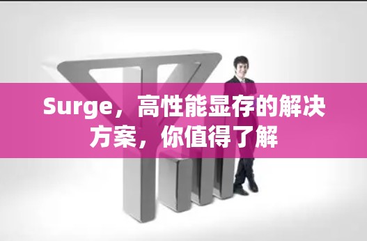 Surge，高性能显存的解决方案，你值得了解