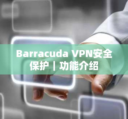Barracuda VPN安全保护｜功能介绍