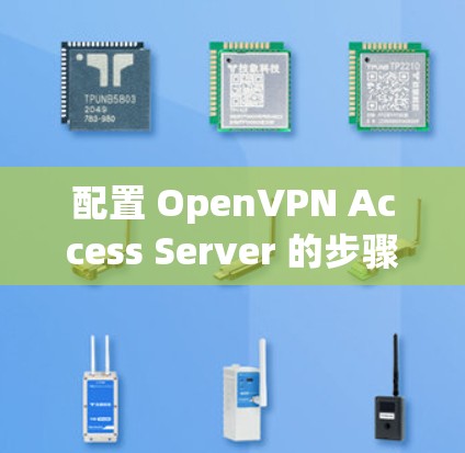 配置 OpenVPN Access Server 的步骤如下 配置 OpenVPN Access Server 的步骤如下