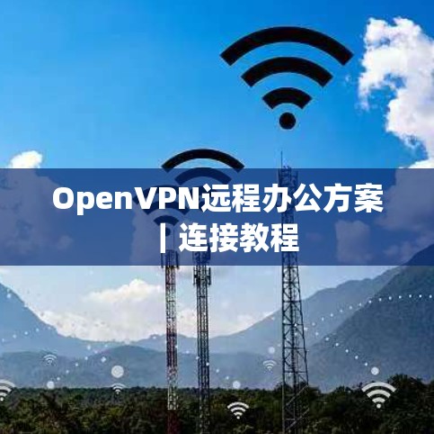 OpenVPN远程办公方案|连接教程 OpenVPN远程办公方案|连接教程
