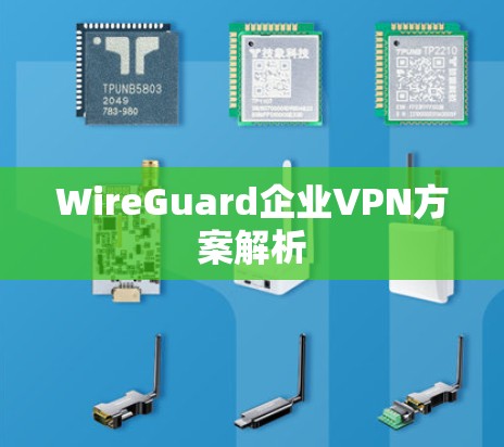 WireGuard企业VPN方案解析 WireGuard企业VPN方案解析