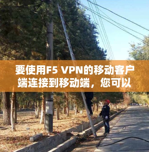 要使用F5 VPN的移动客户端连接到移动端，您可以按照以下步骤进行操作