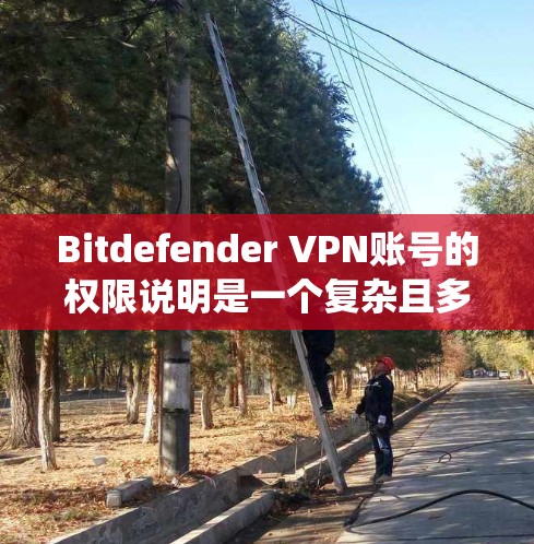 Bitdefender VPN账号的权限说明是一个复杂且多维度的系统，主要分为安全设置、访问控制、数据管理和个人用户权限四个部分。以下是对这些部分的详细说明