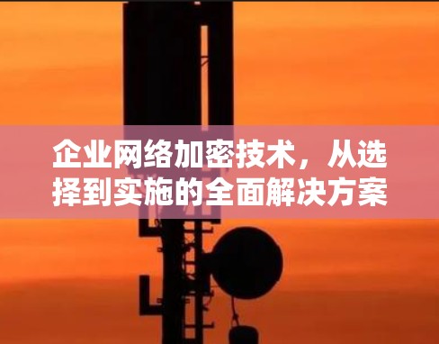 企业网络加密技术,从选择到实施的全面解决方案 企业网络加密技术,从选择到实施的全面解决方案
