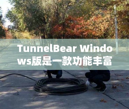 TunnelBear Windows版是一款功能丰富的计算机安全软件，主要用于管理并保护计算机资源。以下是对TunnelBear Windows版的使用指南