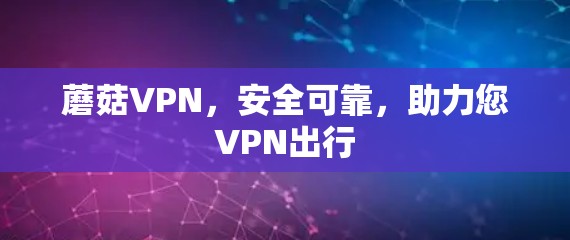 蘑菇VPN，安全可靠，助力您VPN出行