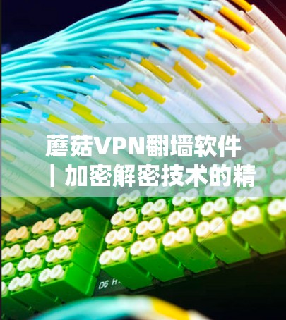 蘑菇VPN翻墙软件｜加密解密技术的精彩展示