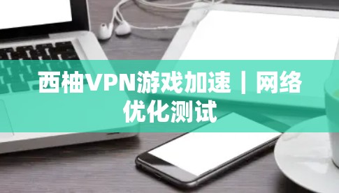 西柚VPN游戏加速｜网络优化测试