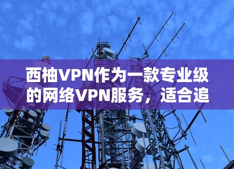 西柚VPN作为一款专业级的网络VPN服务，适合追求安全性和流畅体验的用户。以下是对该软件的详细介绍