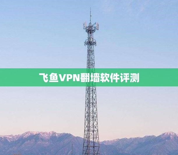 飞鱼VPN翻墙软件评测