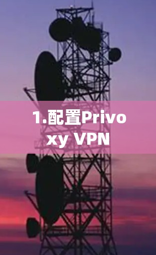 1.配置Privoxy VPN