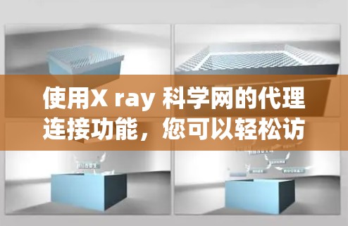 使用X ray 科学网的代理连接功能,您可以轻松访问该网站的网页。以下是详细的步骤指南 使用X ray 科学网的代理连接功能,您可以轻松访问该网站的网页。以下是详细的步骤指南