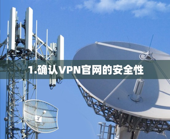 1.确认VPN官网的安全性