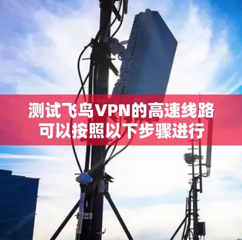 测试飞鸟VPN的高速线路可以按照以下步骤进行