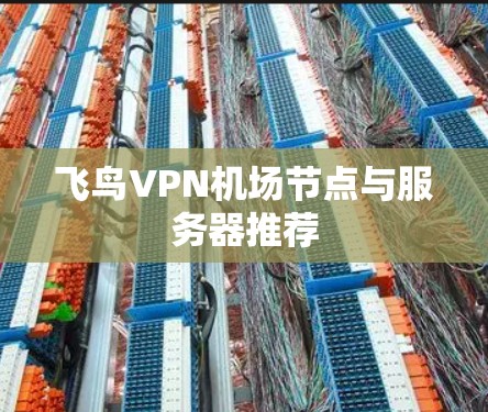 飞鸟VPN机场节点与服务器推荐 飞鸟VPN机场节点与服务器推荐