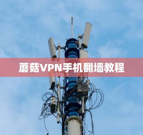 蘑菇VPN手机翻墙教程