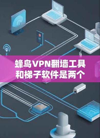 蜂鸟VPN翻墙工具和梯子软件是两个不同的概念，各自在不同领域发挥着作用。以下是它们的详细比较和解释