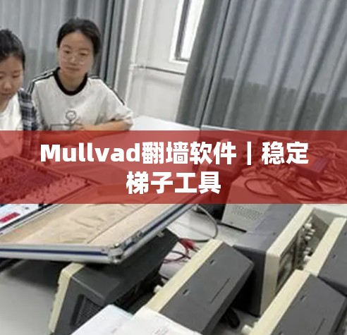 Mullvad翻墙软件｜稳定梯子工具