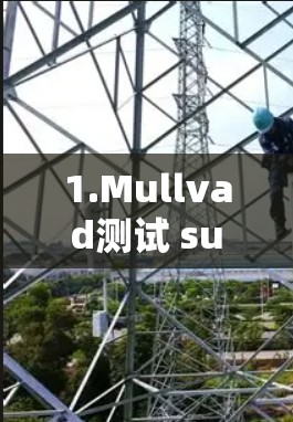 1.Mullvad测试 suite