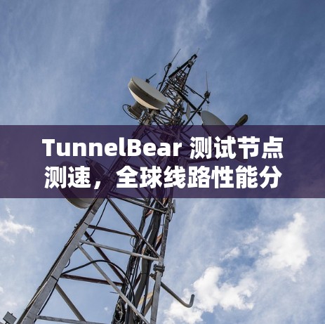 TunnelBear 测试节点测速,全球线路性能分析 TunnelBear 测试节点测速,全球线路性能分析