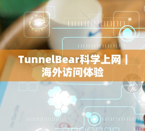 TunnelBear科学上网｜海外访问体验