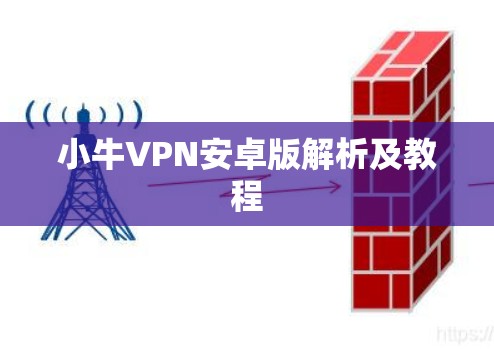 小牛VPN安卓版解析及教程