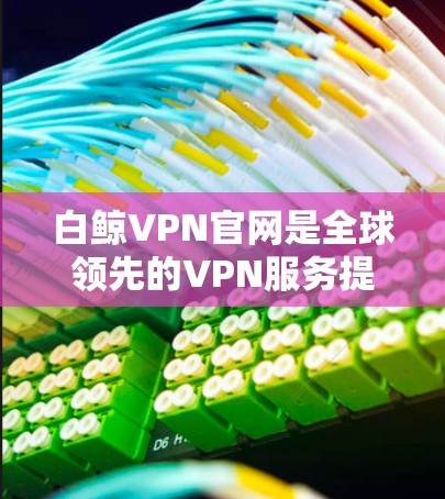 白鲸VPN官网是全球领先的VPN服务提供商，提供的是全球范围内的24/7网络服务。如果你需要下载高速VPN软件，以下是一些关键信息和步骤