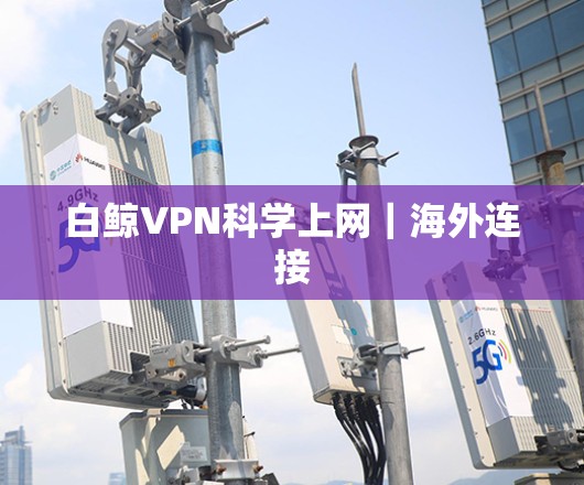 白鲸VPN科学上网|海外连接 白鲸VPN科学上网|海外连接