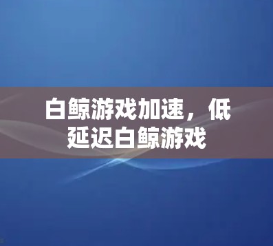 白鲸游戏加速，低延迟白鲸游戏