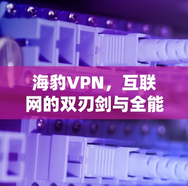 海豹VPN，互联网的双刃剑与全能者