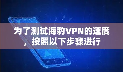 为了测试海豹VPN的速度，按照以下步骤进行